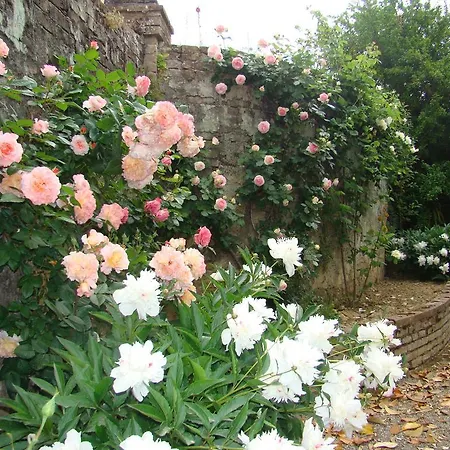 Bed & Breakfast Frances' Lodge Relais