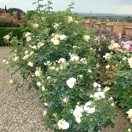 Bed & Breakfast Frances' Lodge Relais Siena