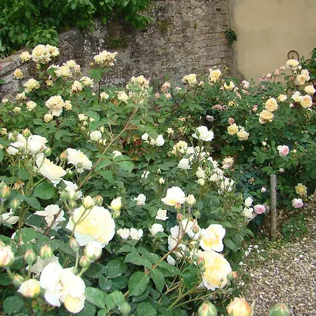 Bed & Breakfast Frances' Lodge Relais Siena